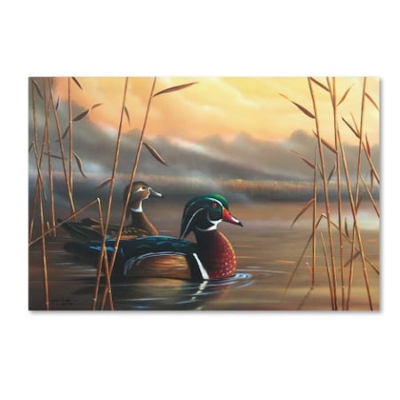 Geno Peoples 'Wood Ducks' Canvas Art,22x32